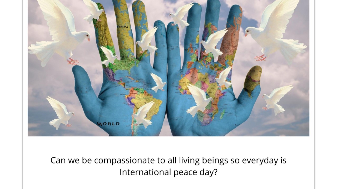 International Day of Peace?